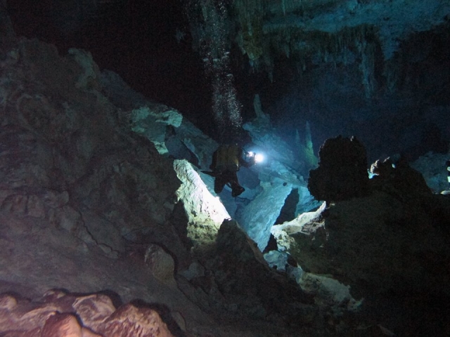  Cenote specialists 